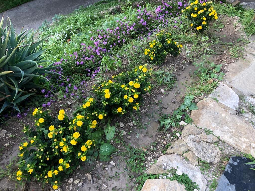 B&B Tenuta La Puntara Caltanissetta Buitenkant foto