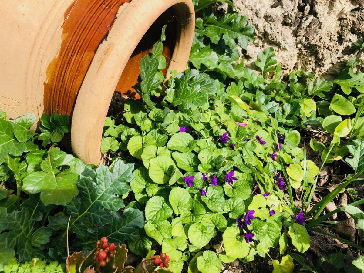 B&B Tenuta La Puntara Caltanissetta Buitenkant foto