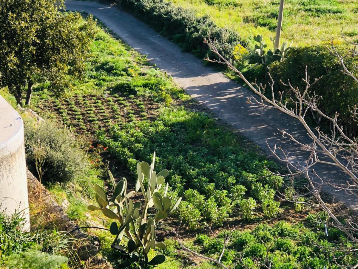 B&B Tenuta La Puntara Caltanissetta Buitenkant foto