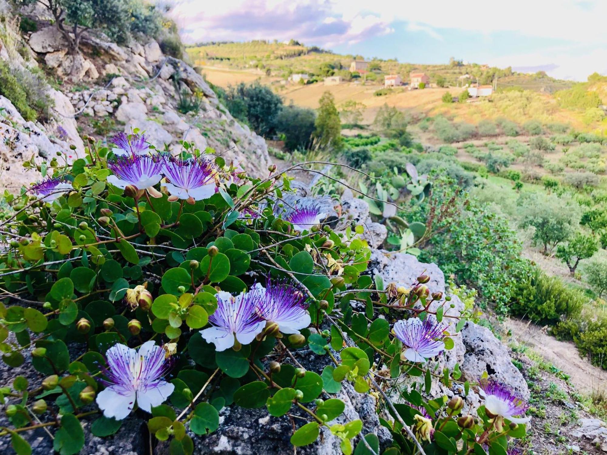 B&B Tenuta La Puntara Caltanissetta Buitenkant foto